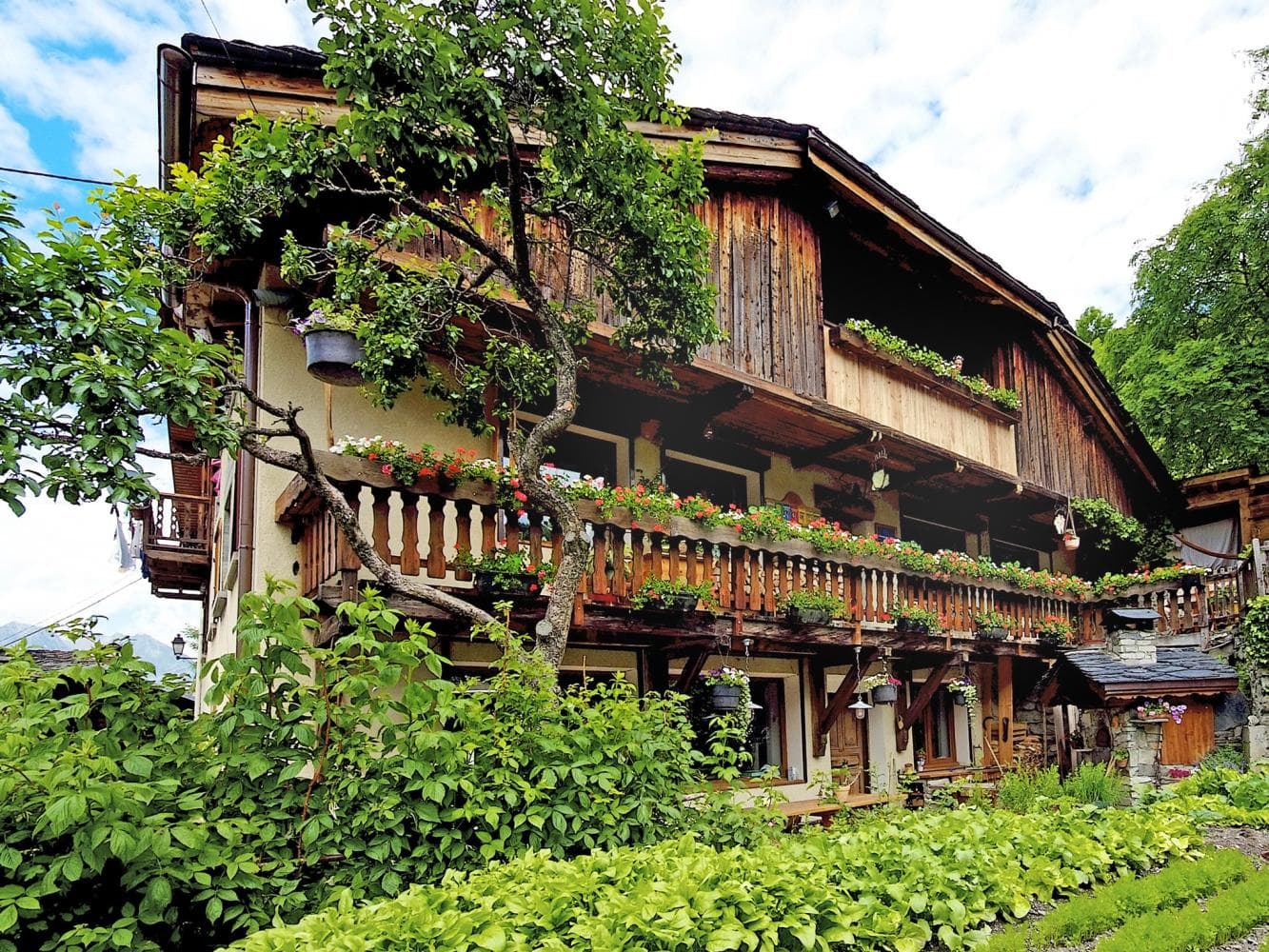 Le Nid Alpin